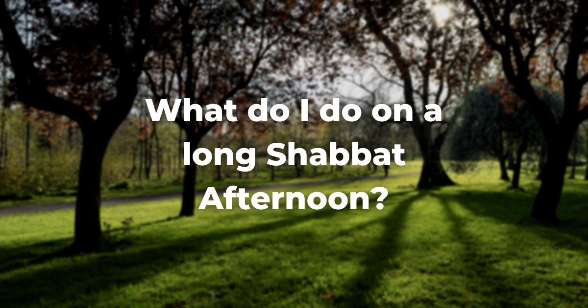 What do I do on a long Shabbat Afternoon?