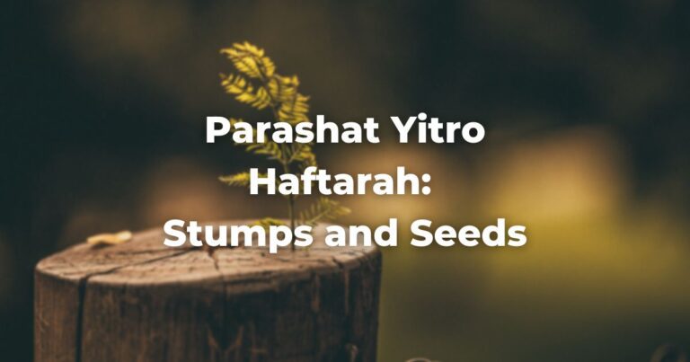 Parashat Yitro Haftarah: Stumps and Seeds