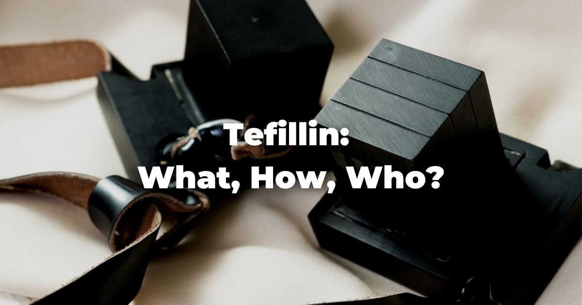 Tefillin  What We Carried