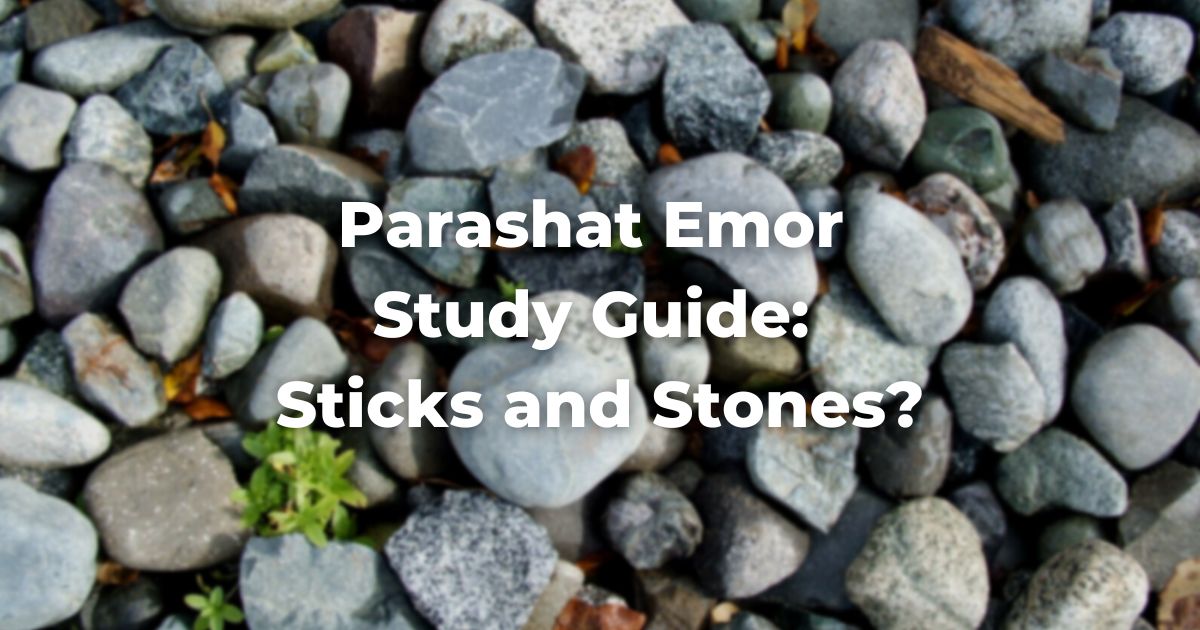 Parashat Emor Study Guide: Sticks and Stones?