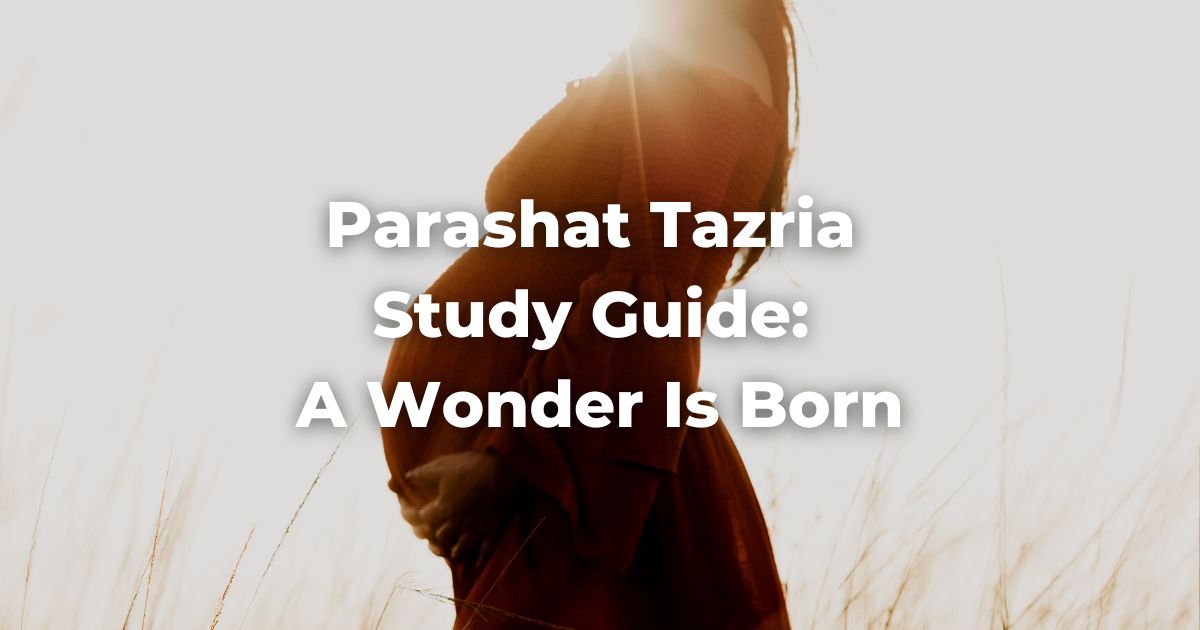 Parashat Tazria Study Guide: A Wonder Is Born