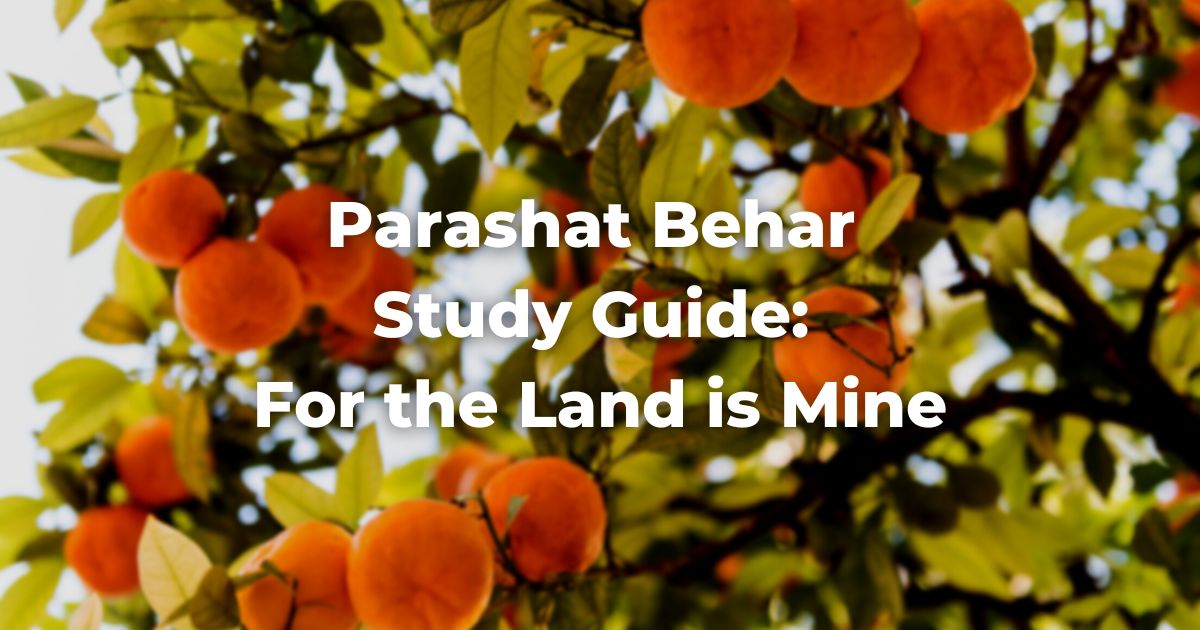 Parashat Behar Study Guide: For the Land is Mine