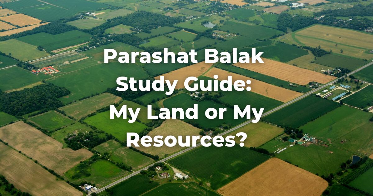 Parashat Balak Study Guide: My Land or My Resources?