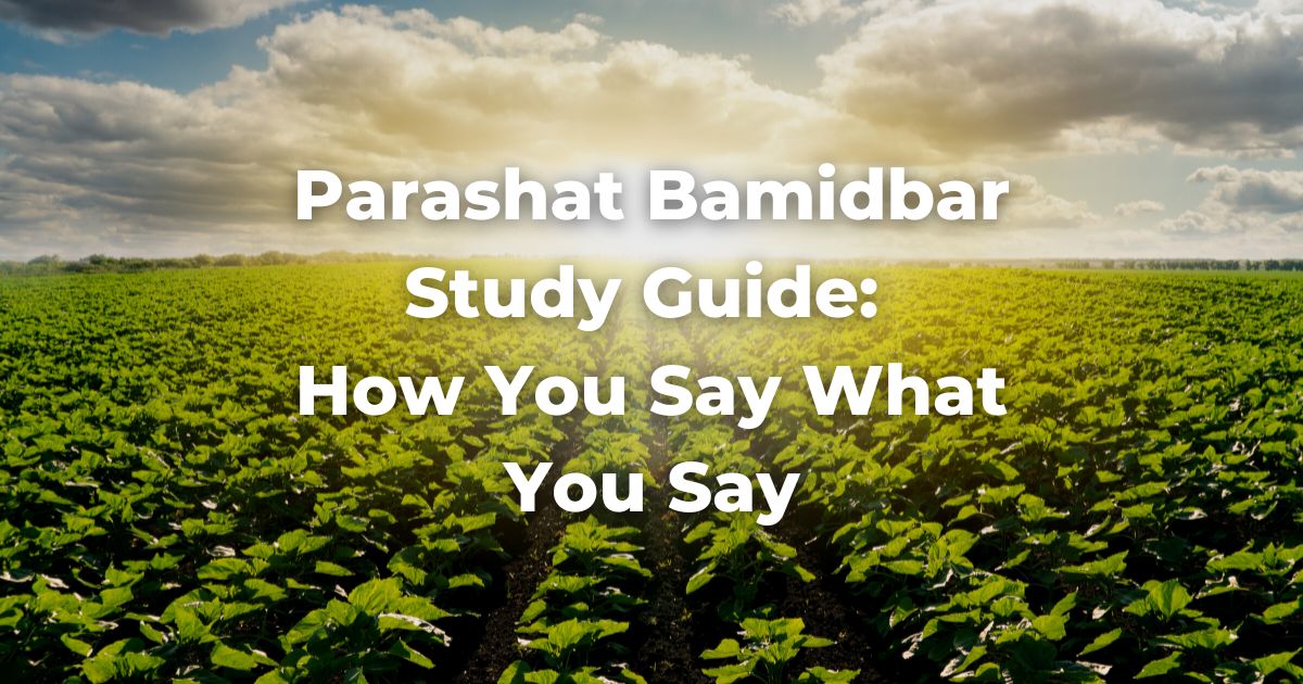 Parashat Bamidbar Study Guide: How You Say What You Say