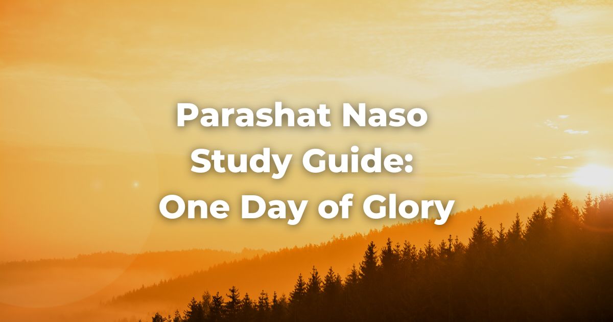 Parashat Naso Study Guide: One Day of Glory