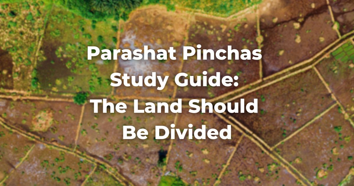 Parashat Pinchas Study Guide: The Land Should Be Divided