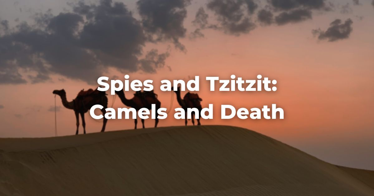 Spies and Tzitzit: Camela and Death