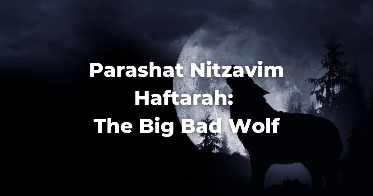 Parashat Nitzavim Haftarah: The Big Bad Wolf