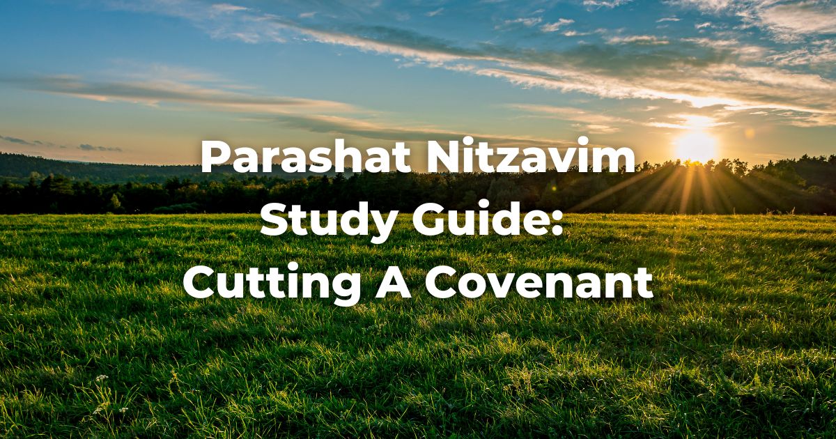 Parashat Nitzavim Study Guide: Cutting A Covenant