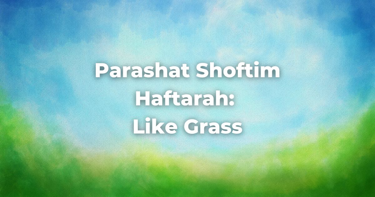 Parashat Shoftim Haftarah: Like Grass