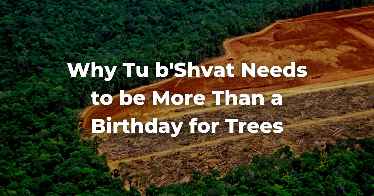 Why Tu b'Shvat Needs to be More Than a Birthday for Trees