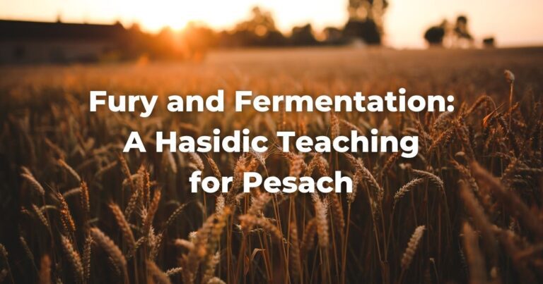 Fury and Fermentation: A Hasidic Teaching for Pesach