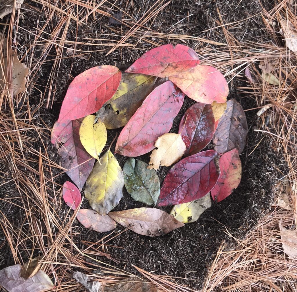 Leaves and Feathers