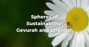 Spheres of Sustainability: Strength and Gevurah