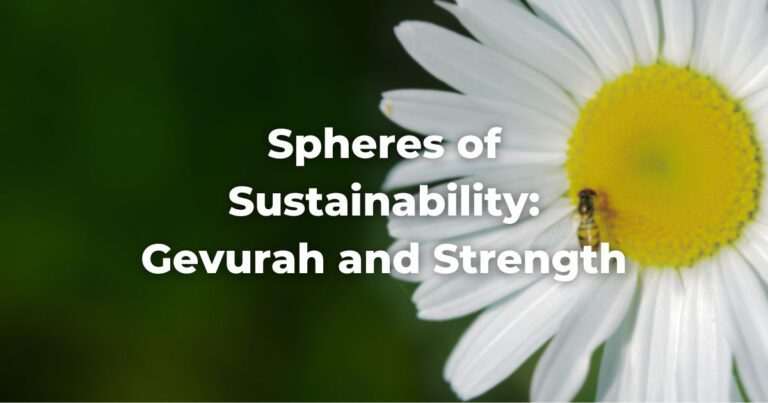 Spheres of Sustainability: Strength and Gevurah
