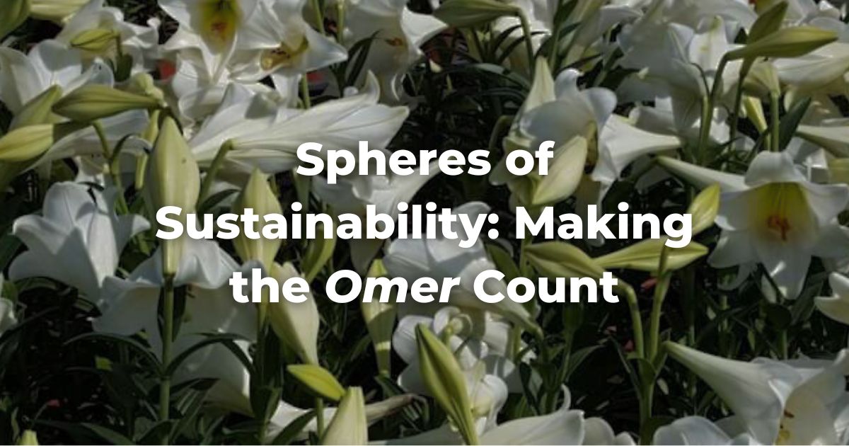 Spheres of Sustainability: Making the Omer Count