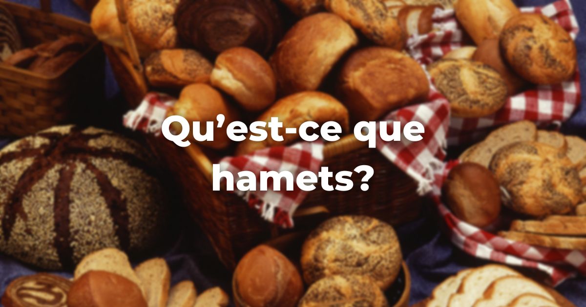 Qu’est-ce que hamets?