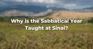 Why is the Sabbatical Year Taught at Sinai?