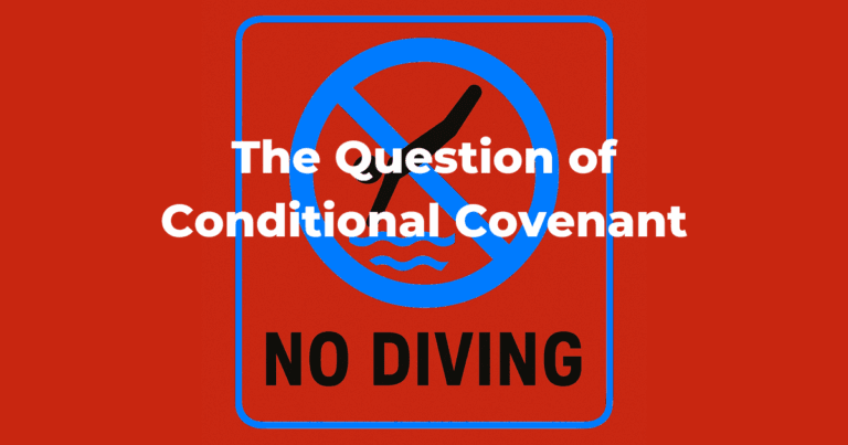 A red background sign says no diving with a pictrogram