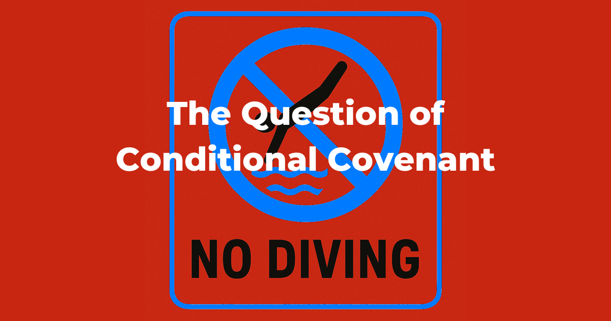 A red background sign says no diving with a pictrogram